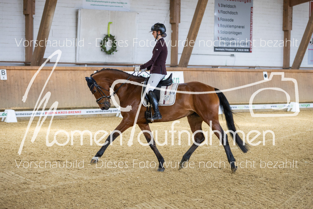 Sth-LPO25-A-Dr-078 | MomenTaufnahmen Pferdesportfotos