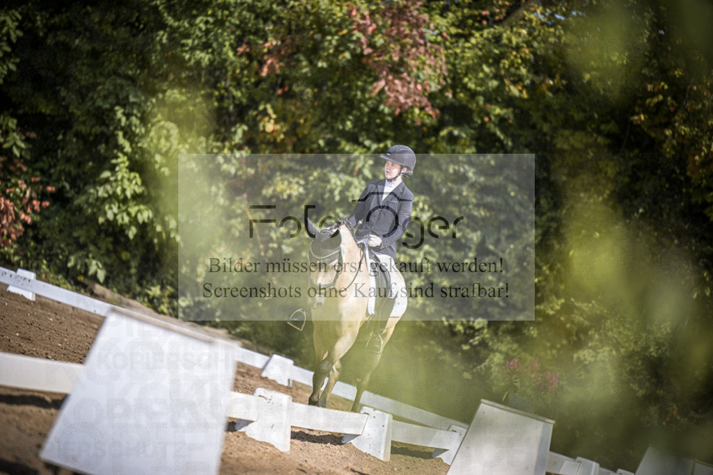 DOS_0762 | Entdecke hochwertige Reitturnierfotos von Foto Oger. Professionell, emotional und authentisch – jetzt Lieblingsmomente im Shop bestellen.Deutschlandweite Turnierfotografie. - Realisiert mit Pictrs.com