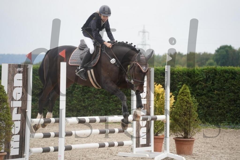 pfmagarethenhof (285) | d.tail Visions - Shop - Realisiert mit Pictrs.com