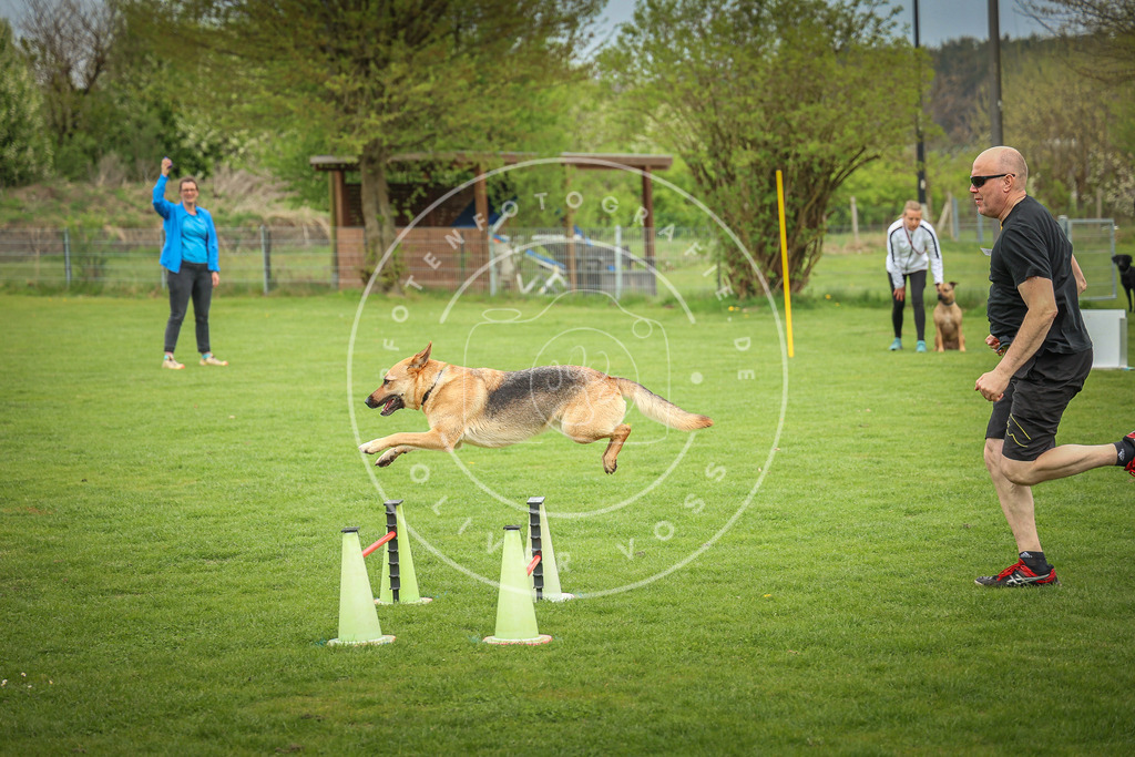 Pfotenfotografie_0L8A9464 | Hundefotografie, Tierfotograf, Pfotenfotografie, Fotoshooting Hund, Hunde Portrait, Hundesport, Hundeportraits, Heideshooting, Hunde, Sportfotograf, Hundefotograf, Turnierhundsport, THS,  - Realisiert mit Pictrs.com