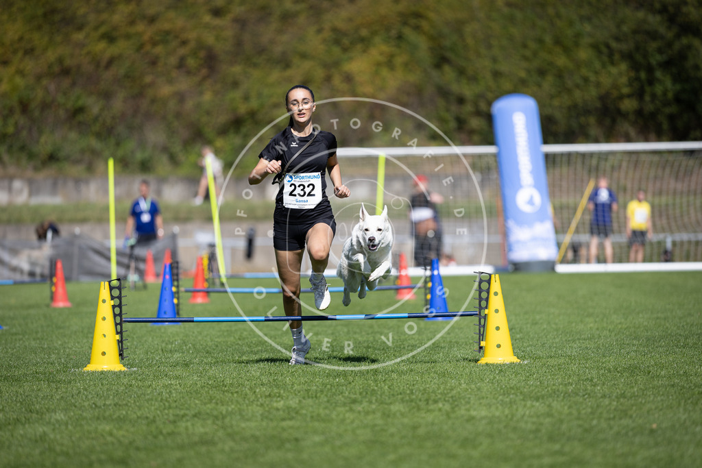 Pfotenfotografie_DV3A5724 | Hundefotografie, Tierfotograf, Pfotenfotografie, Fotoshooting Hund, Hunde Portrait, Hundesport, Hundeportraits, Heideshooting, Hunde, Sportfotograf, Hundefotograf, Turnierhundsport, THS,  - Realisiert mit Pictrs.com