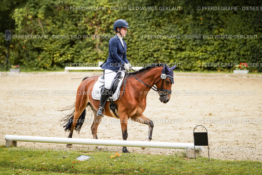 DSC00390 | Pferdegrafie