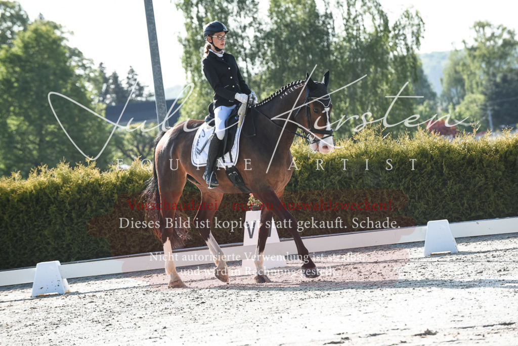20230518_JK-Röhrsdorf-09-0462 | Pferde- und Turnierfotografie in Westsachsen. Pferdeportraits, Auftragszeichnungen und intuitive Kunst.