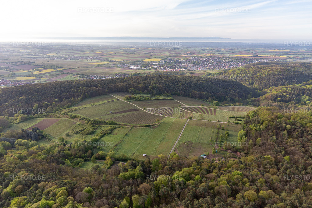 Luftbild: Haardtrand-Wolfsteig in Pleisweiler-Oberhofen im Bundesland Rheinland-Pfalz in Deutschland. Foto: IMG_113761.jpg vom 29.04.2019 durch Werner Riehm/FLY-FOTO.de