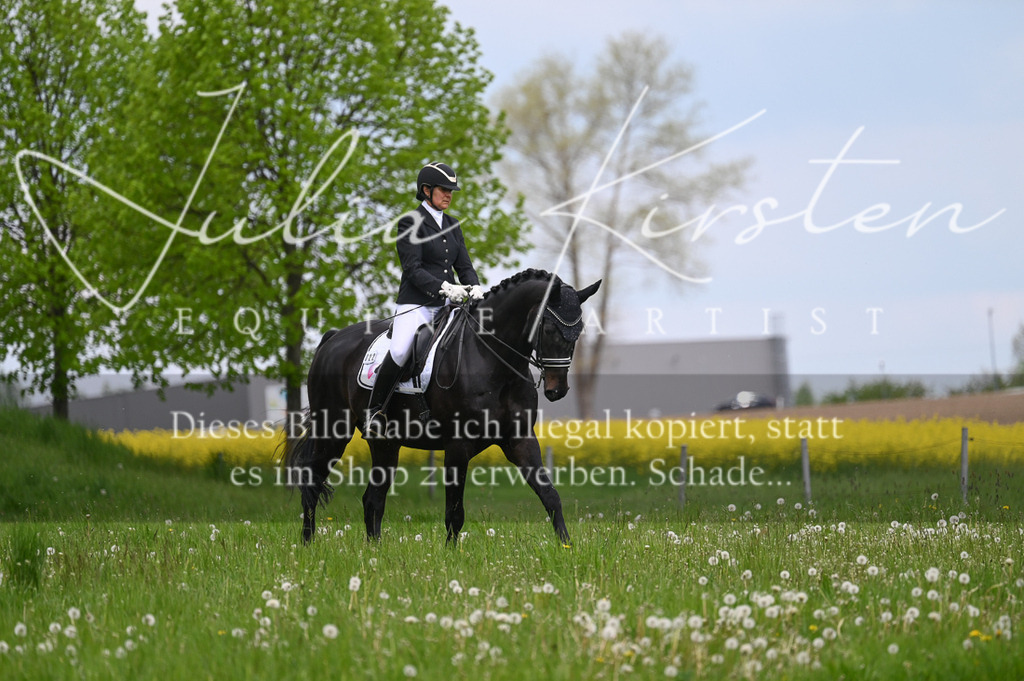 20230512_JK-Röhrsdorf-05-091 | Pferde- und Turnierfotografie in Westsachsen. Pferdeportraits, Auftragszeichnungen und intuitive Kunst.