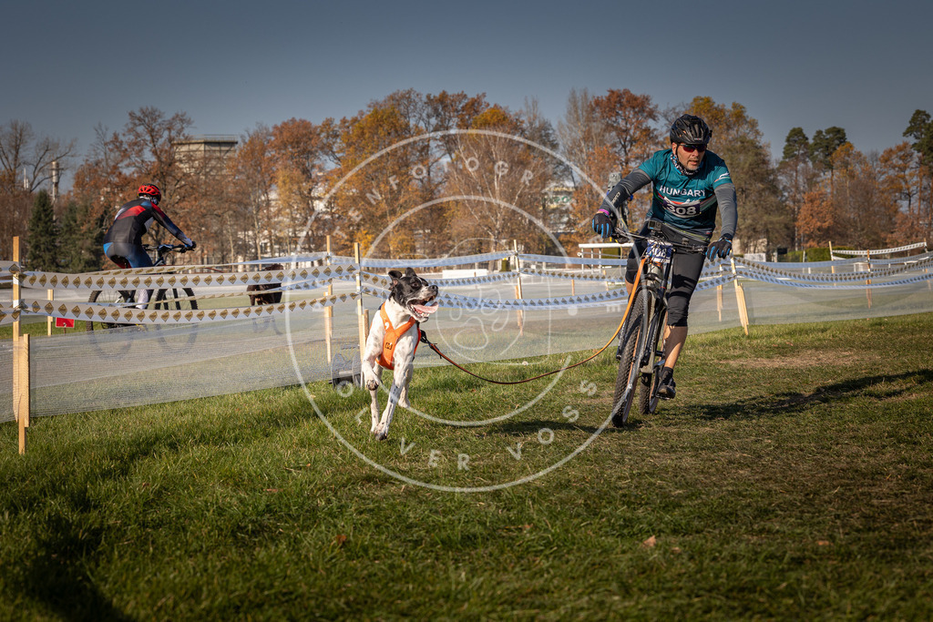 CaniXpix_0L8A7485 | Hundefotografie, Tierfotograf, Pfotenfotografie, Fotoshooting Hund, Hunde Portrait, Hundesport, Hundeportraits, Heideshooting, Hunde, Sportfotograf, Hundefotograf, Turnierhundsport, THS,  - Realisiert mit Pictrs.com