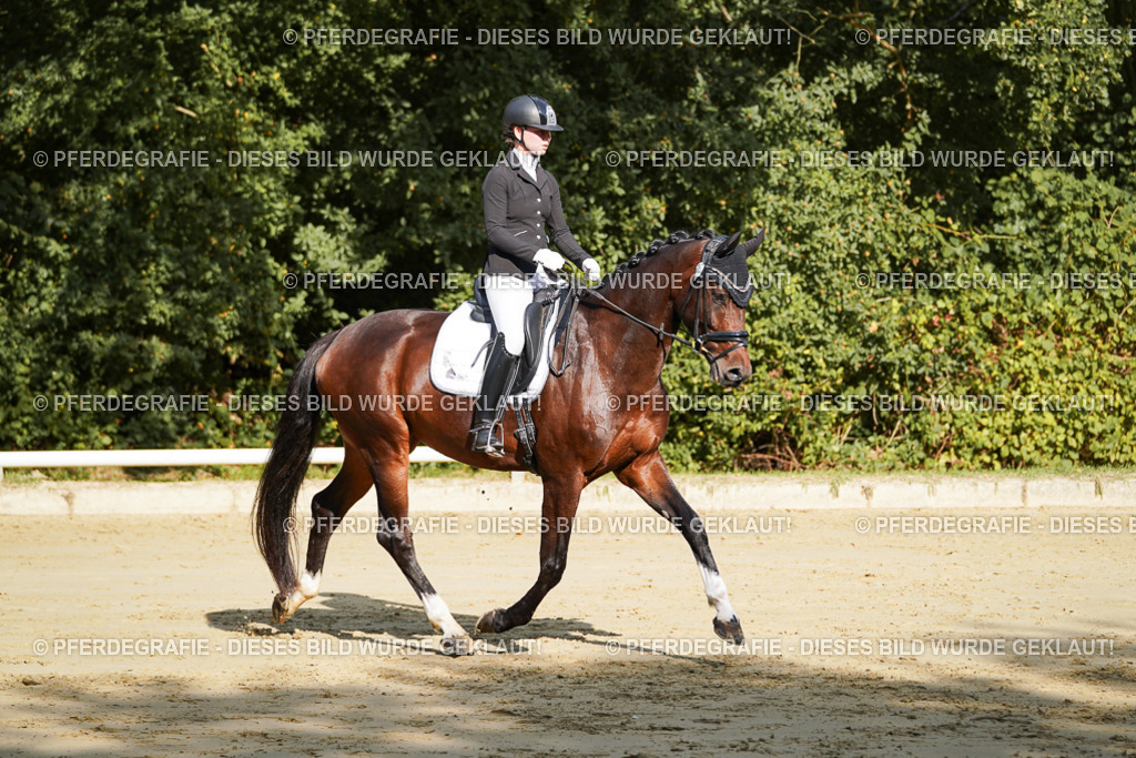 DSC08032 | Pferdegrafie