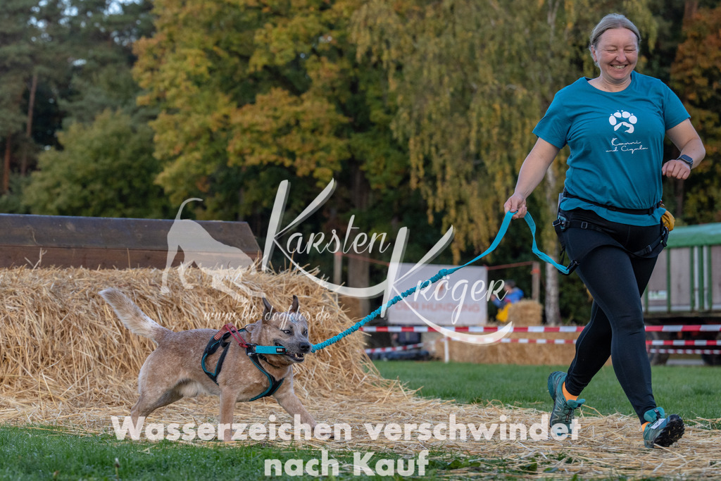 0840_ZZ91091 | kk-dogfotos