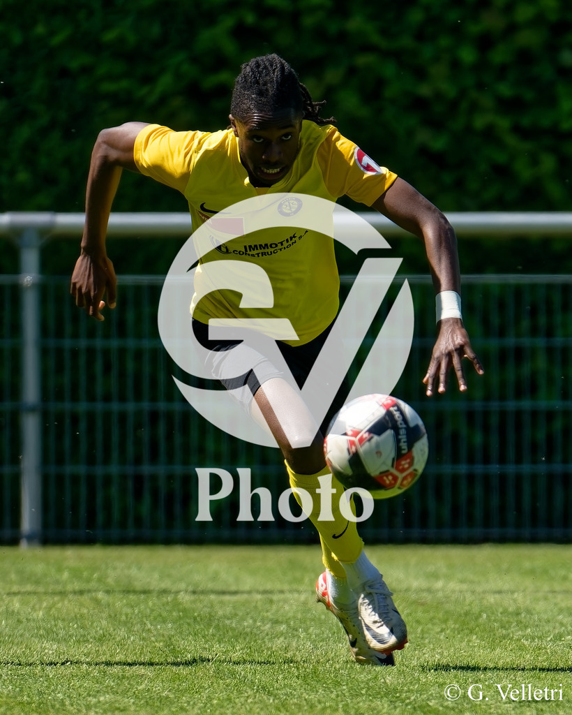 DSC_7481 | Velletri Photo