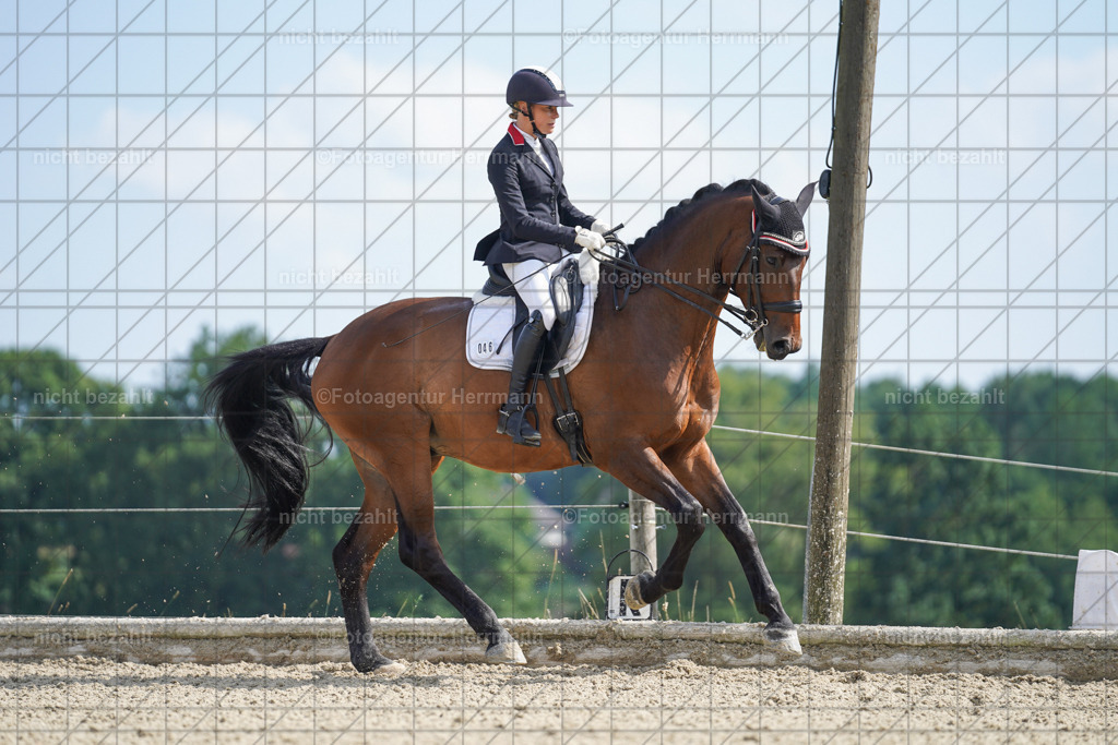 20230826-FAH06034 | Forstinning, 2023, Dressurturnier, Turniersportbilder, Turnierfotografen Bayern, Fotoagentur Herrmann, Reitsportfotografie, Turnierbilder