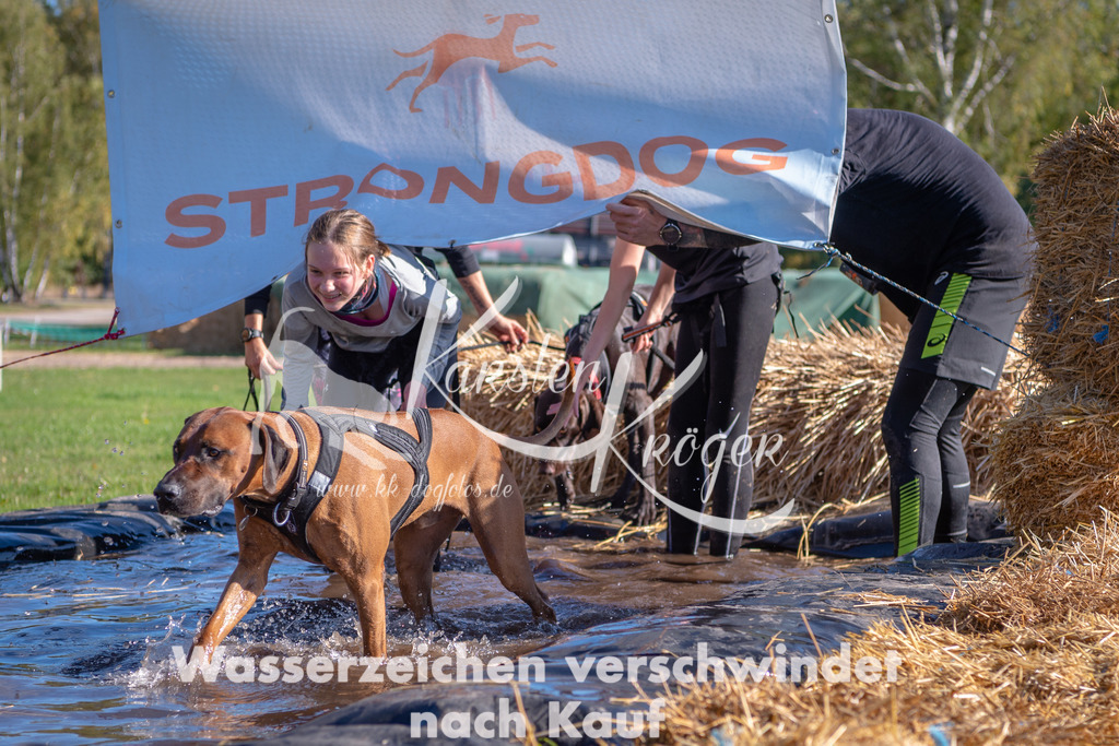 1204STR_2654 | kk-dogfotos