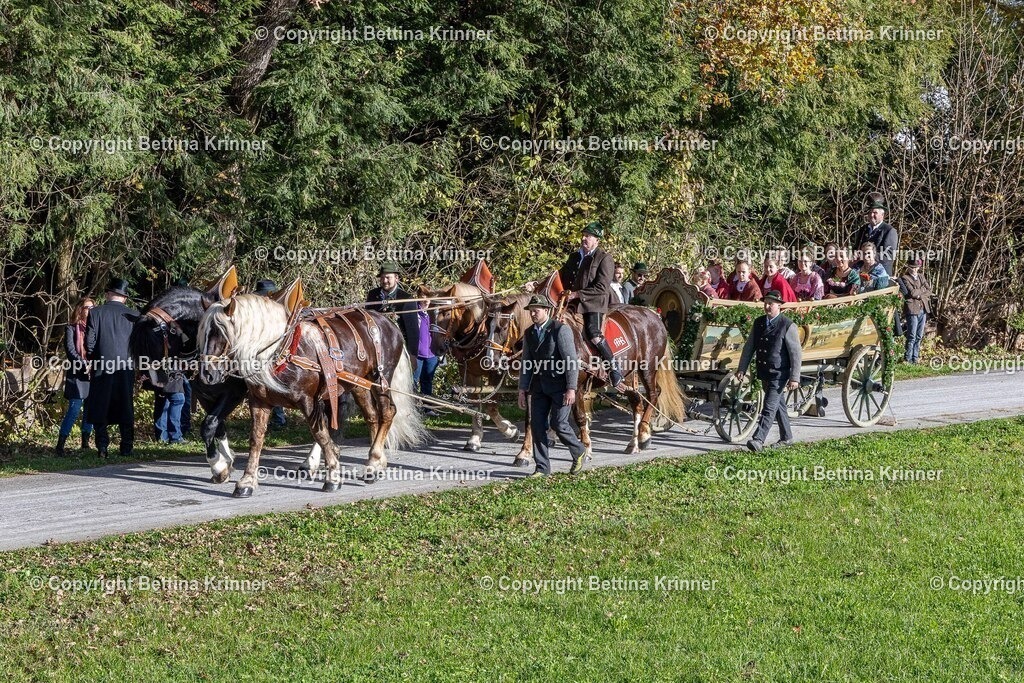 LBT24-674 | foto-bettina-krinner - Realisiert mit Pictrs.com
