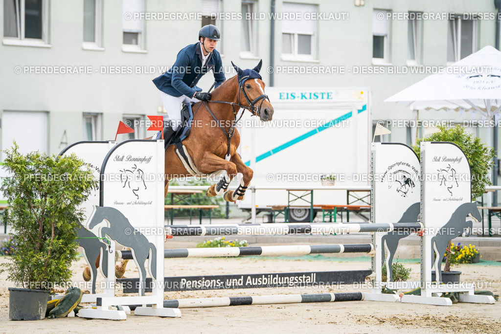 DSC08488 | Pferdegrafie