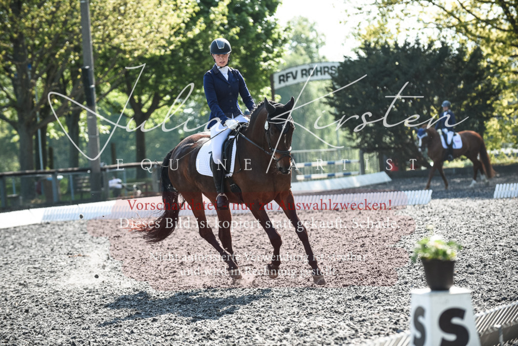 DSC_8787 | Pferde- und Turnierfotografie in Westsachsen. Pferdeportraits, Auftragszeichnungen und intuitive Kunst.