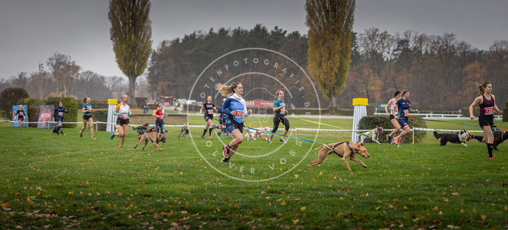 CaniXpix_DV3A8841 | Hundefotografie, Tierfotograf, Pfotenfotografie, Fotoshooting Hund, Hunde Portrait, Hundesport, Hundeportraits, Heideshooting, Hunde, Sportfotograf, Hundefotograf, Turnierhundsport, THS,  - Realisiert mit Pictrs.com