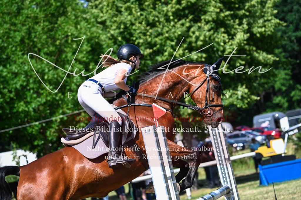 DSC_1728 | Pferde- und Turnierfotografie in Westsachsen. Pferdeportraits, Auftragszeichnungen und intuitive Kunst.
