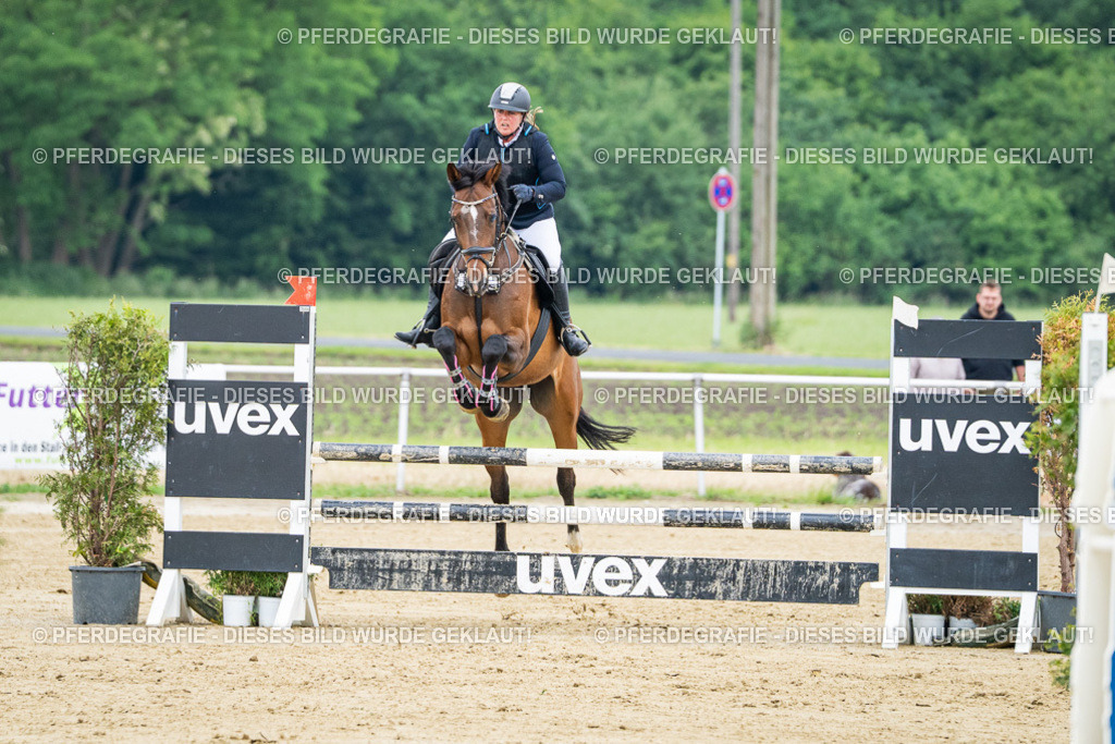 DSC03798 | Pferdegrafie