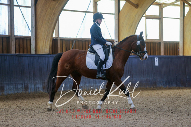 IMG_0936 | Turniersportfotografie; Pferdefotografie; Dressurfotografie