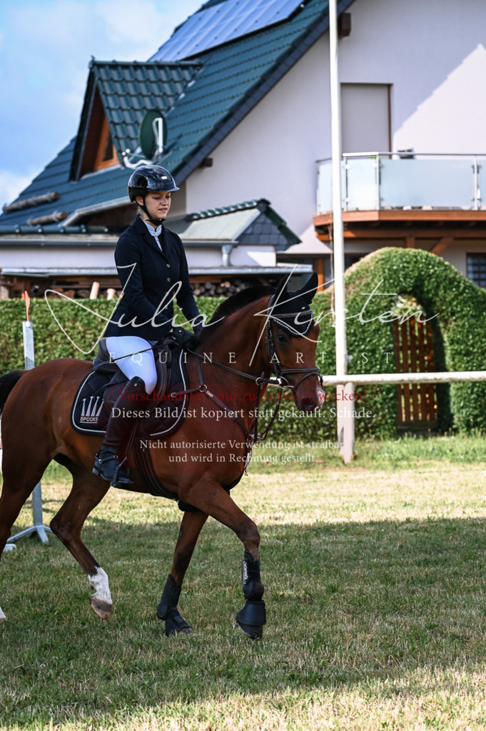 DSC_7892 | Pferde- und Turnierfotografie in Westsachsen. Pferdeportraits, Auftragszeichnungen und intuitive Kunst.