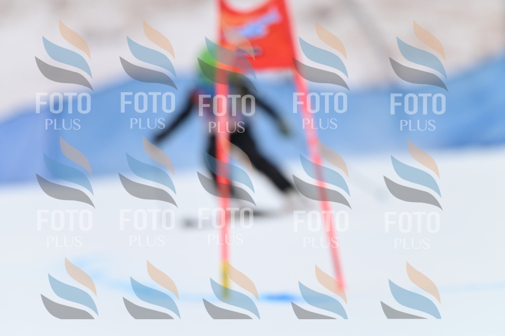 BGV_2978 | holidayphoto