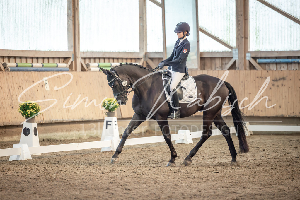 20251011-_3LI6375 | Tierfotografie Pferde, Hunde, Katzen, Haustiere.
Turnierfotografie Reitturniere, Reiten, Springreiten, Dressur in Hanau, dem Main-Kinzig-Kreis und dem Rhein-Main- Gebiet um Frankfurt