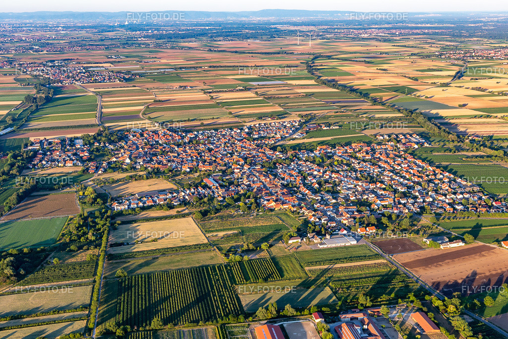 Ortsansicht von Westen | Luftbild: Ortsansicht von Westen in Niederkirchen bei Deidesheim im Bundesland Rheinland-Pfalz in Deutschland. Foto: IMG_115643.jpg vom 29.06.2019 durch Werner Riehm/FLY-FOTO.de - Realisiert mit Pictrs.com