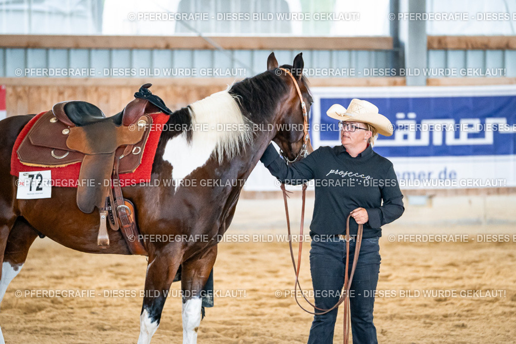 DSC09517 | Pferdegrafie