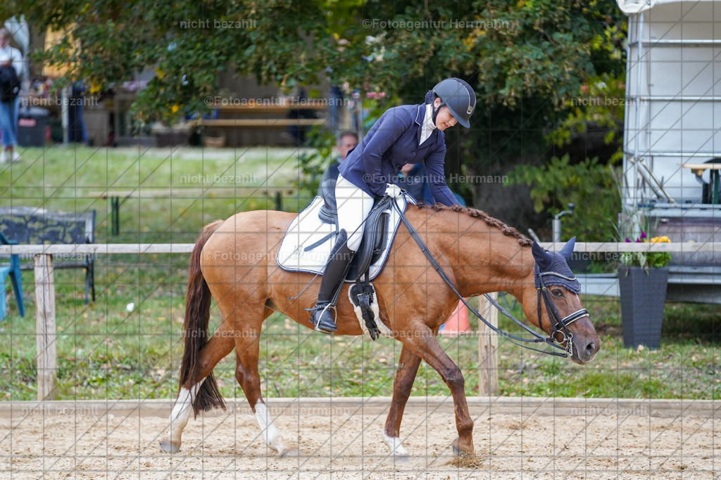 20231007-SN_00805 | Professionelle Turnier- und Reitsportfotografie - mit dem Finger am Auslöser. Pferdebilder aus dem Reitsport von den Turnierfotografen  Bayern , Pferdefotograf Bayern, Pferdeshooting Turnierbilder, Hochzeitsfotograf, Eventfotograf, Hochzeitsbilder