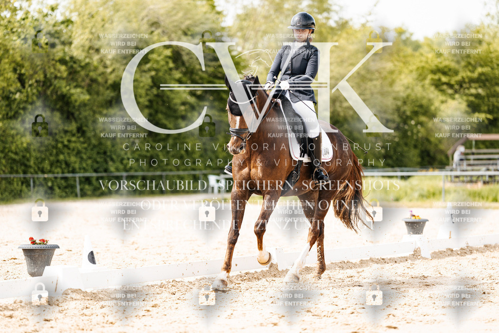 CK901336 | Turnierfotografie Pferdefotografie Trier Rheinland-Pfalz Pferdesport Reitsport Tierfotografie Sportfotografie Pferdevideo Pferdevideografie Equestrianvideography equestrianphotography  - Realisiert mit Pictrs.com