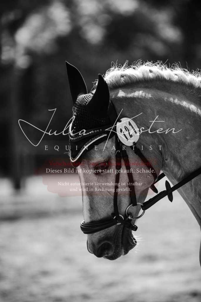 DSC_0628 | Pferde- und Turnierfotografie in Westsachsen. Pferdeportraits, Auftragszeichnungen und intuitive Kunst.