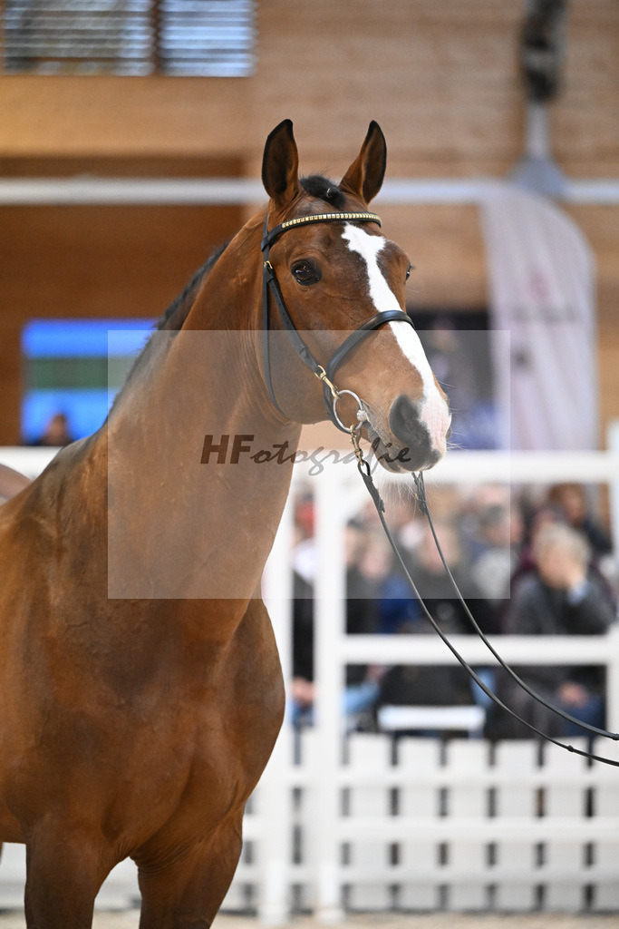 Sanvaro_7240747 | hf-fotografie - Realisiert mit Pictrs.com