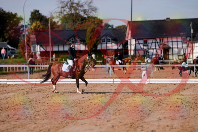 2026_10_03_Siefer-Hof_115417_Z81_93151457 | Professionelle Reitsport-, Turnier- und Eventfotografie von Robert Broda. Galerien mit ausgewählten und bearbeiteten Bildern direkt online ansehen und bestellen.
