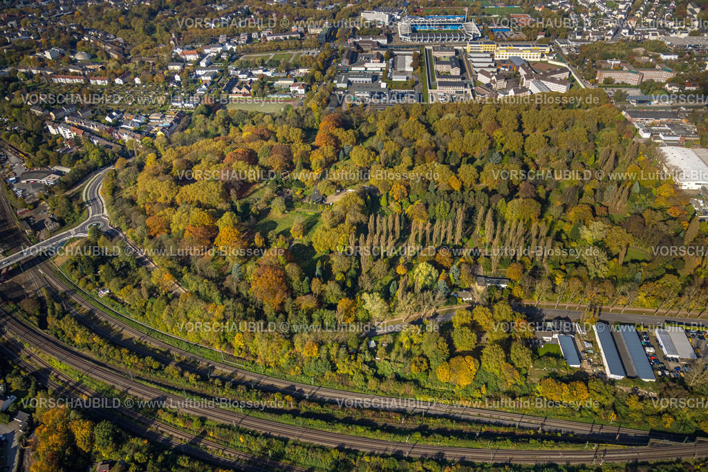 Bochum241016548 | Luftbild, städt. Friedhof Blumenstraße und herbstliche Bäume, hinten das Vonovia Ruhrstadion Fußballstadion und Bundesligastadion des VfL Bochum 1848, Altenbochum, Bochum, Ruhrgebiet, Nordrhein-Westfalen, Deutschland
