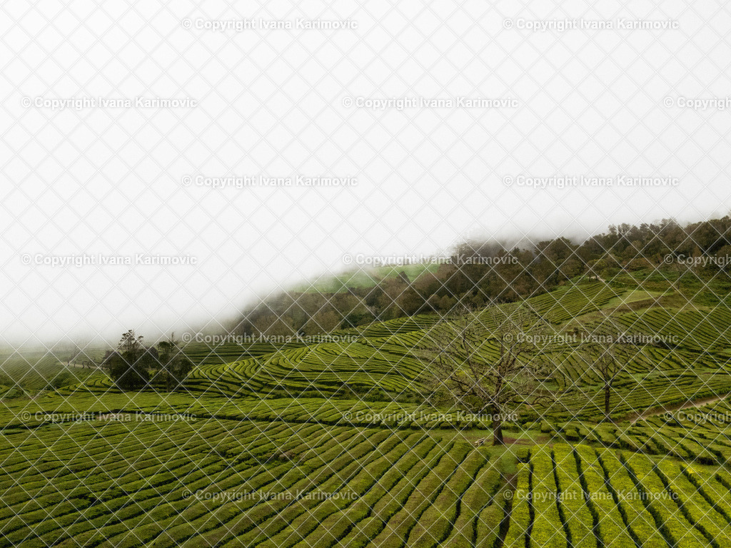 dji_fly_20260419_112338_0347_1776596700243_photo | default - Realisiert mit Pictrs.com