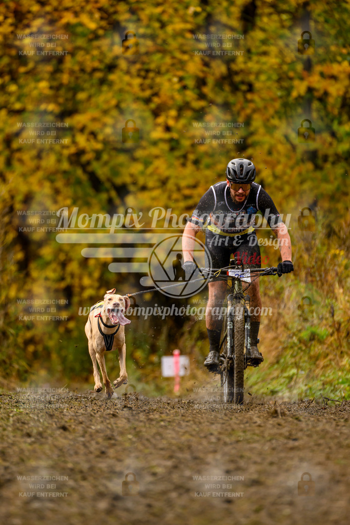MompixPhotography_ICF_WC_2024_SA_Bike_-50 | PayLife