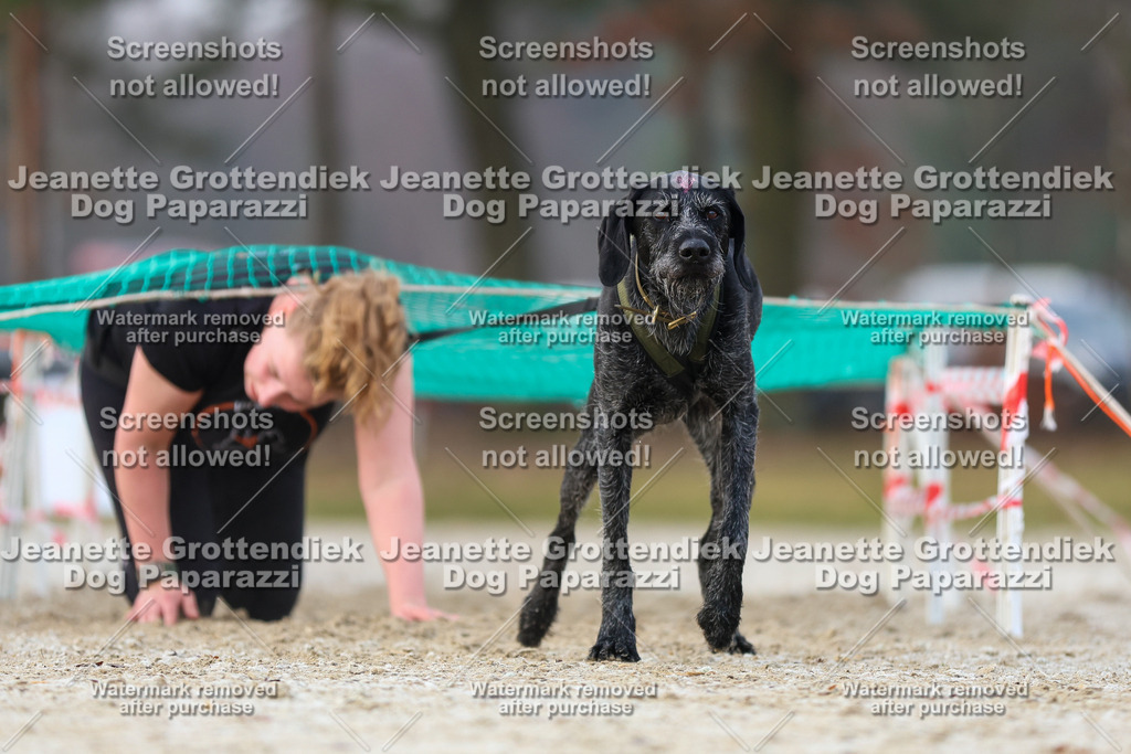 Dog Paparazzi - Strongdog North Mrz26-3701 | Dog Paparazzi Jeanette Grottendiek Fotografie & Videografie - Realisiert mit Pictrs.com