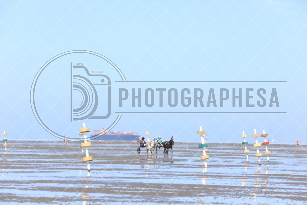 IMG_8716 | photographesa-joergens - Realisiert mit Pictrs.com