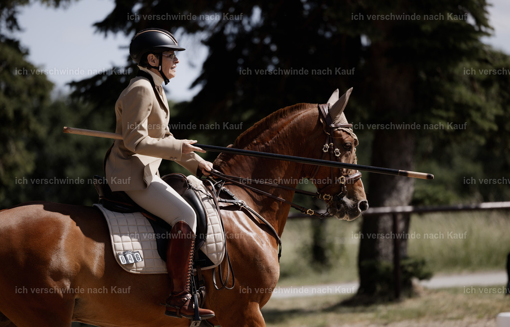 KlasseM_stoibphotography_C2_C9267.CR3 | working equitationturnier fotograf videograf stoibphotography marixx film working equitation deutschland reitsport turnierfotografie eventfotografie equestrian events