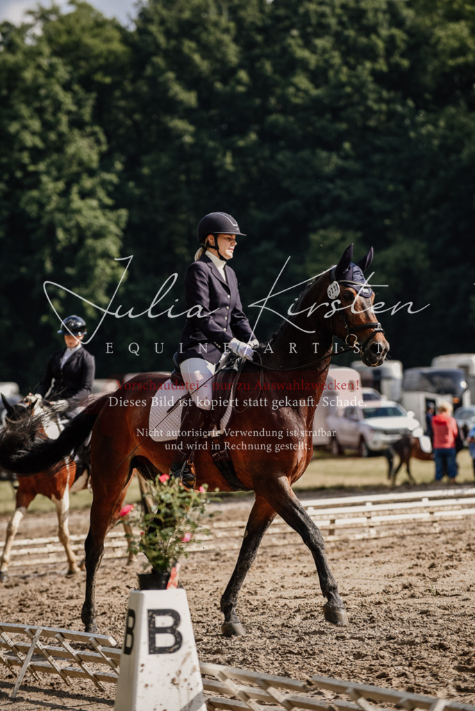 DSC_8792 | Pferde- und Turnierfotografie in Westsachsen. Pferdeportraits, Auftragszeichnungen und intuitive Kunst.