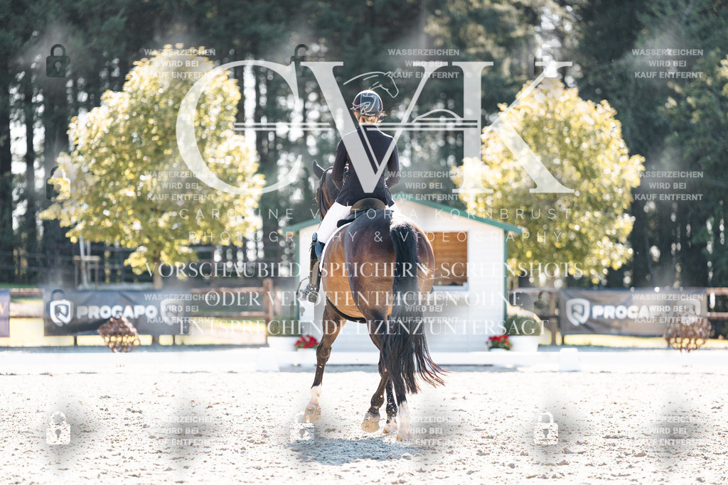 CK905936 | Turnierfotografie Pferdefotografie Trier Rheinland-Pfalz Pferdesport Reitsport Tierfotografie Sportfotografie Pferdevideo Pferdevideografie Equestrianvideography equestrianphotography  - Realisiert mit Pictrs.com