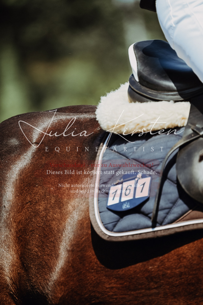 DSC_0002 | Pferde- und Turnierfotografie in Westsachsen. Pferdeportraits, Auftragszeichnungen und intuitive Kunst.