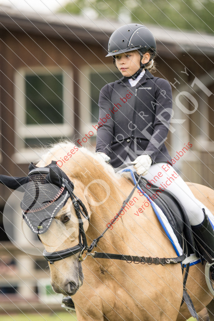 IMG_1749 | Sport-, Event- und Tierfotos in Profiqualität. Einfach auswählen, bestellen und herunterladen. Dein Moment – perfekt festgehalten.