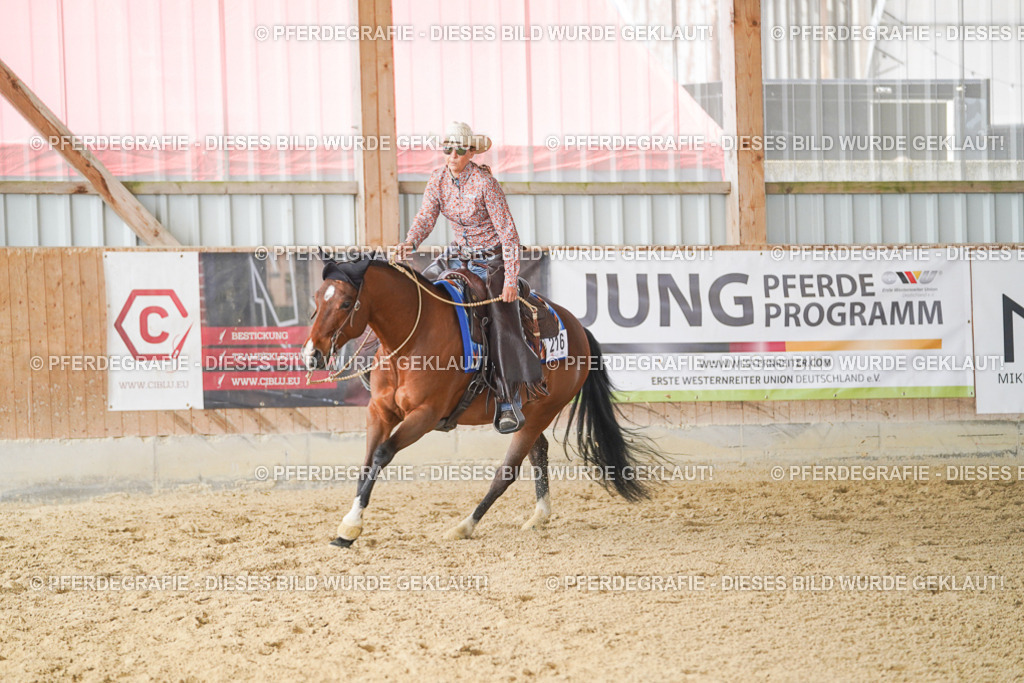 DSC01053 | Pferdegrafie