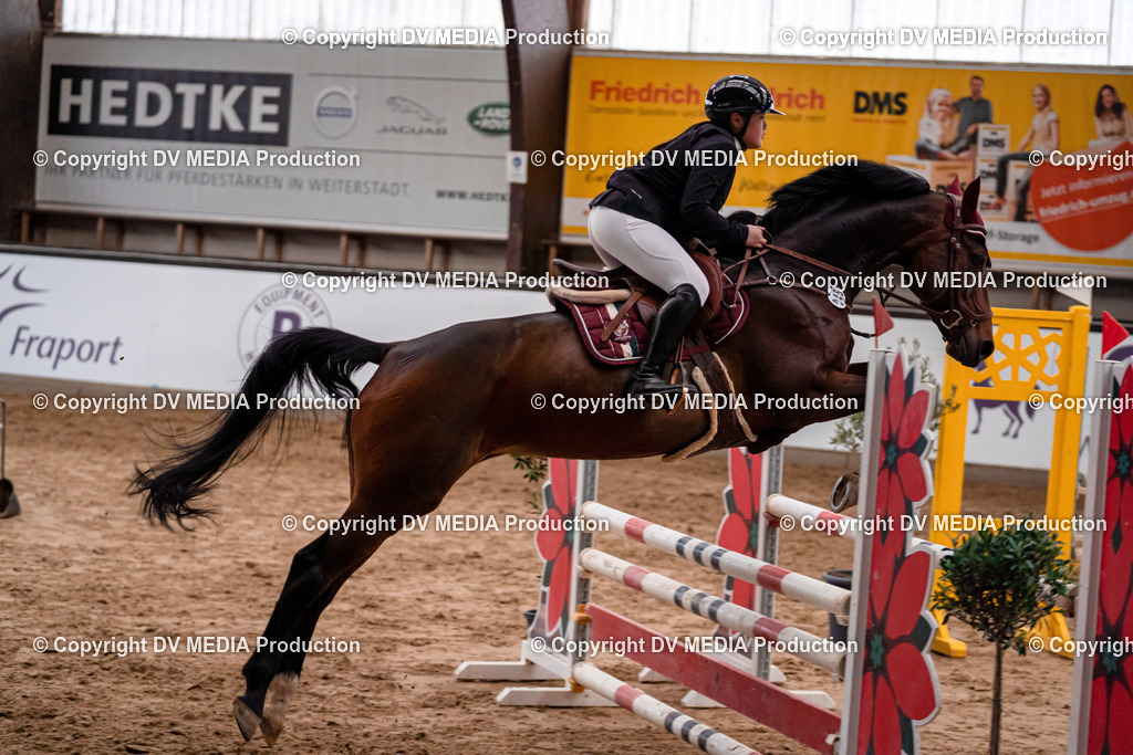 Kranichstein Tag 3-222 | dv-media-shop - Realisiert mit Pictrs.com