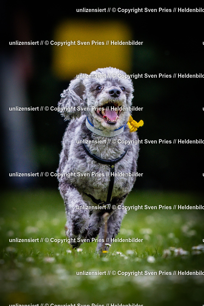 Sven Pries | 2025-05-29 - Pudelrennen KA-Durlach - Realisiert mit Pictrs.com