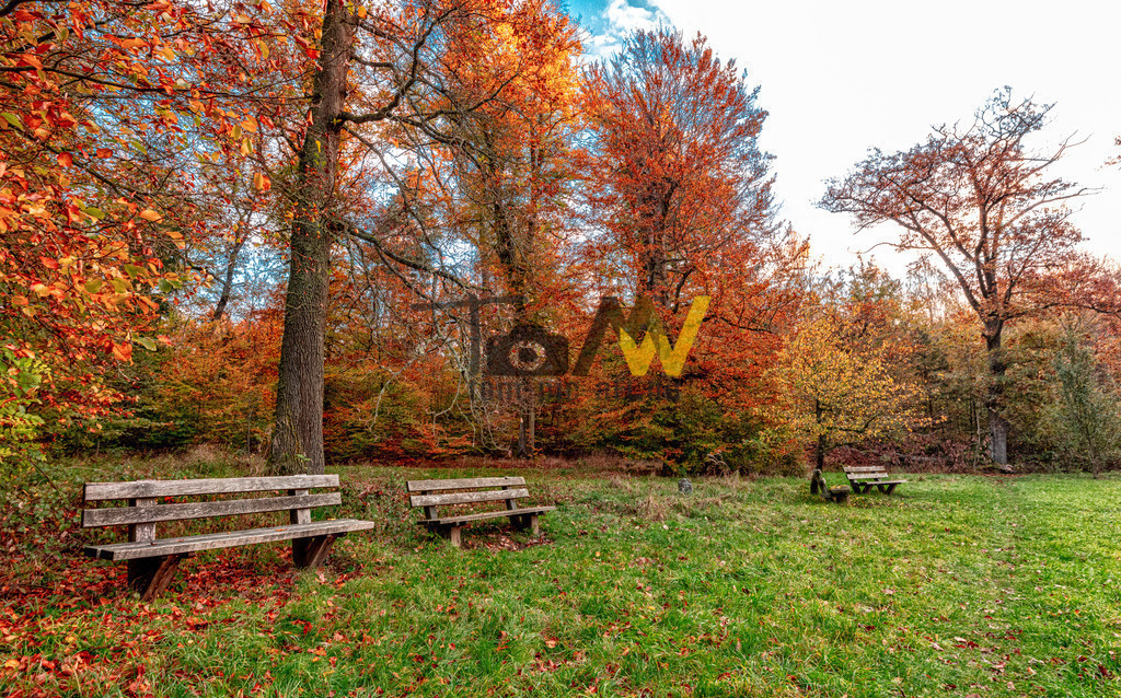 Holzbank auf einer Wiese am Bärenschlössle-Herbst-Stuttart | Hochauflösende und hochwertige Bilder und Fotos.Kommerzielle oder private Nutzung ✔ Bilder downloaden✔ Acryl ✔ Leinwand ✔ Poster ✔
 - Realisiert mit Pictrs.com
