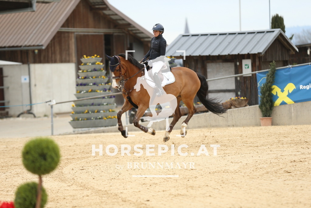 DL2Q5761 | Willkommen bei Brunnmayr - Design & Fotografie – Ihrem Spezialisten für Reitturniere und Pferdeveranstaltungen in Oberösterreich, Salzburg und Bayern! Seit über 17 Jahren sind wir leidenschaftlich dabei.
