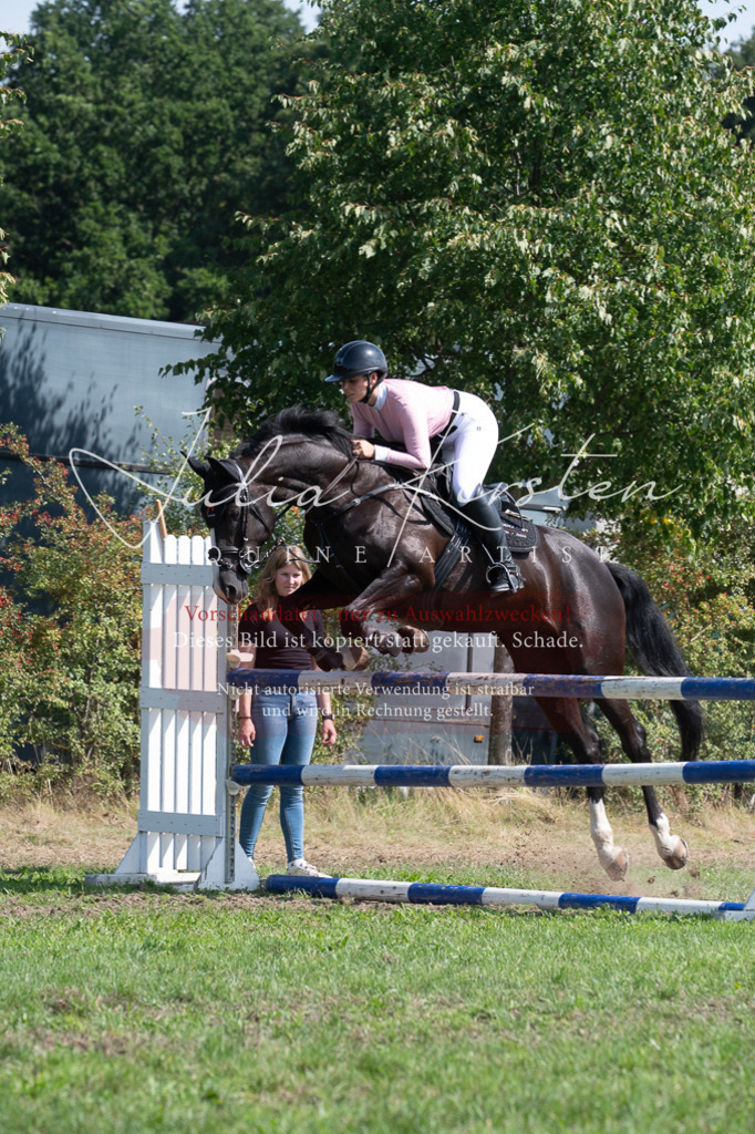 DSC_0838 | Pferde- und Turnierfotografie in Westsachsen. Pferdeportraits, Auftragszeichnungen und intuitive Kunst.