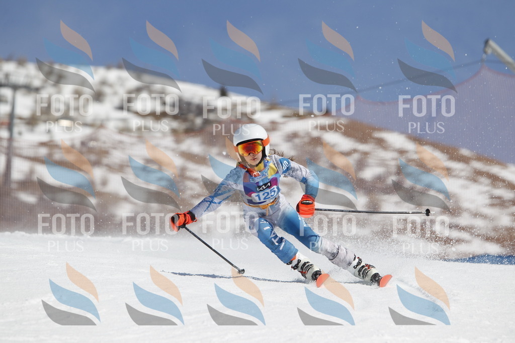 _U3G0787 | holidayphoto