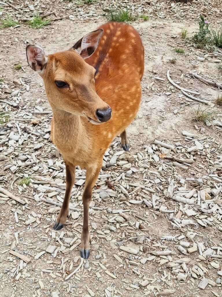 PSX_20220815_234457 | mtkfoto_ - Realisiert mit Pictrs.com